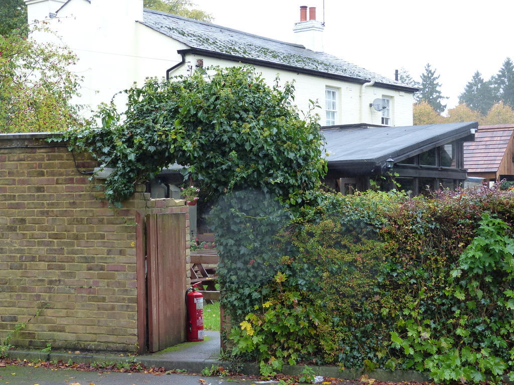 The Sun Inn Englefield Green Exterior photo